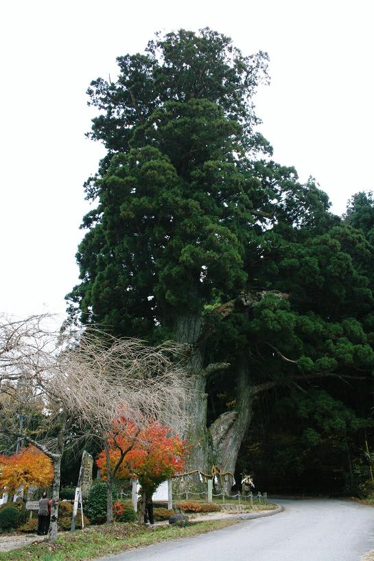 一路長野県下伊那郡への画像