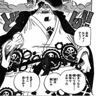 One Piece 麦わらの一味 に関して Dr でぶ ブログ でぶログ