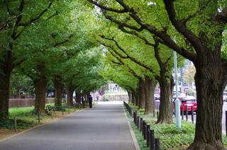 安産って？ - 東京南青山｜おおした鍼灸院のブログです