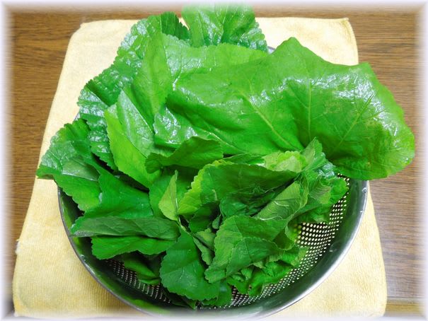 おかのりの効能と食べ方 試行錯誤の家庭菜園