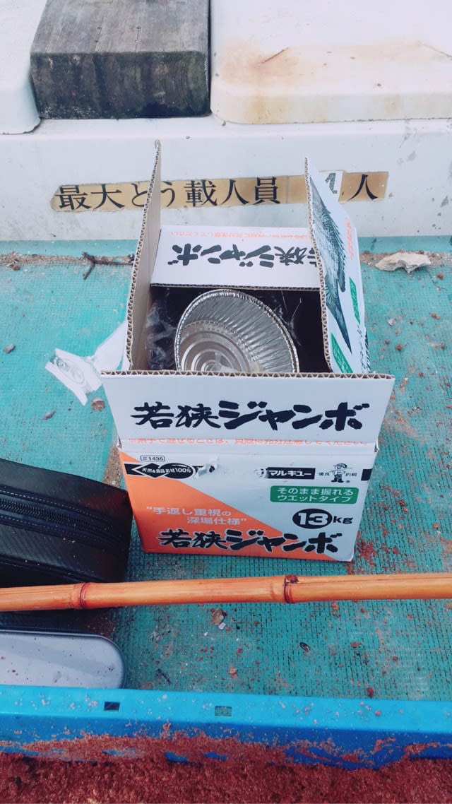 移り行く季節 雨時々チヌ