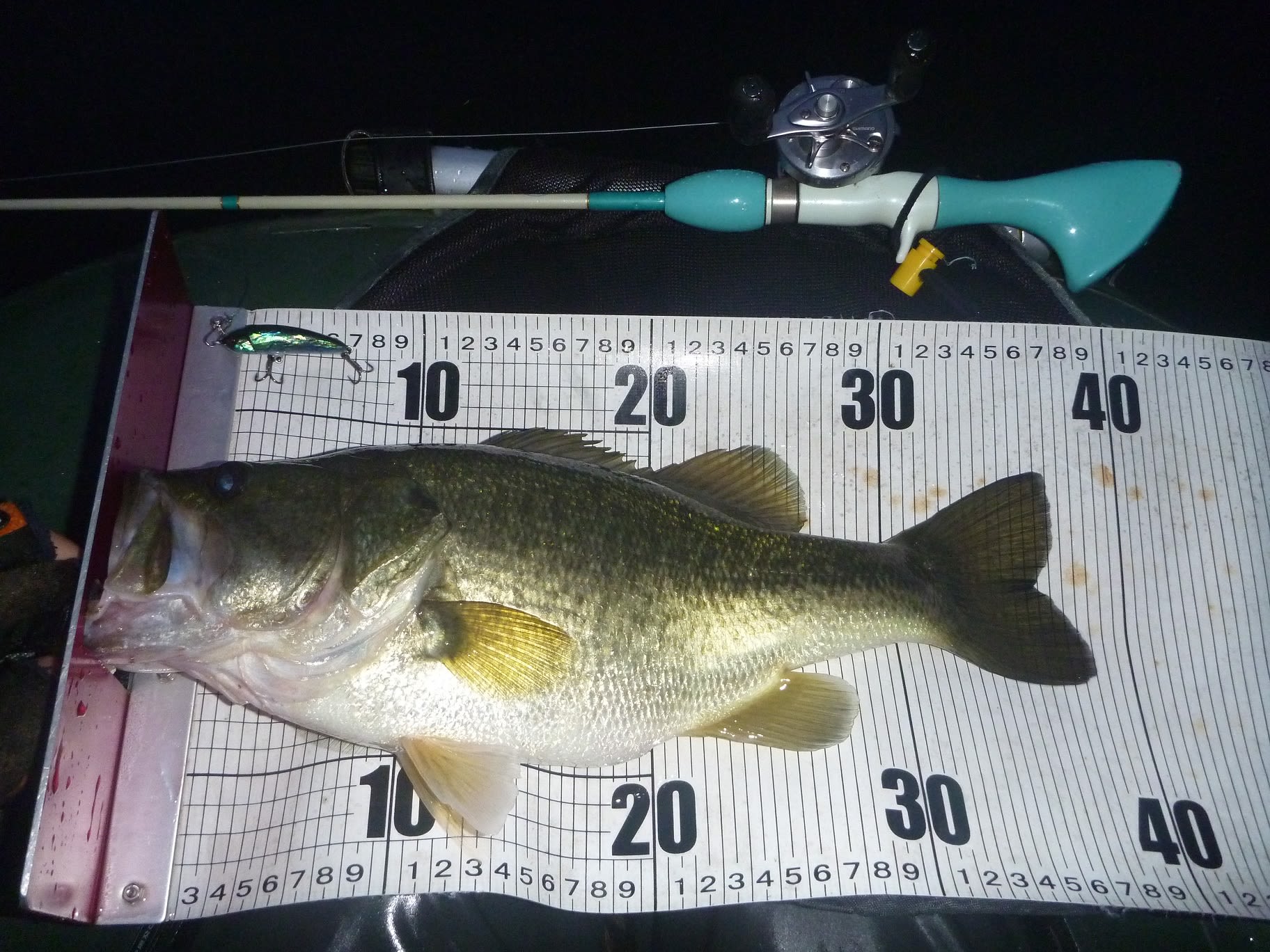 ボイル撃ち 琵琶湖トップウォーターバス釣り日記