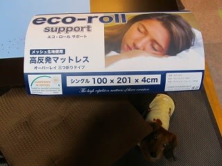 イメージ 2