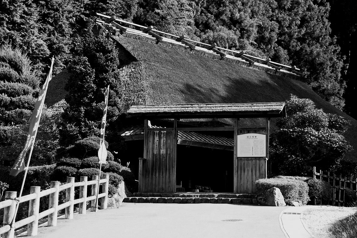 「小原四季桜まつり」一日前にの画像