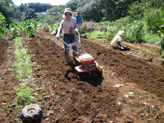 2011年9月のブログ記事一覧東京里山農業日誌