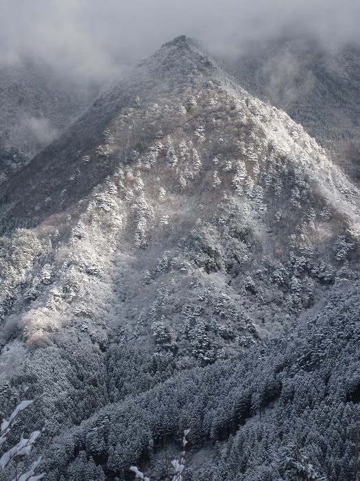 冬の岳人の森からは こんな景色が見られるんです 岳人の森ニュース Gakujin No Mori News