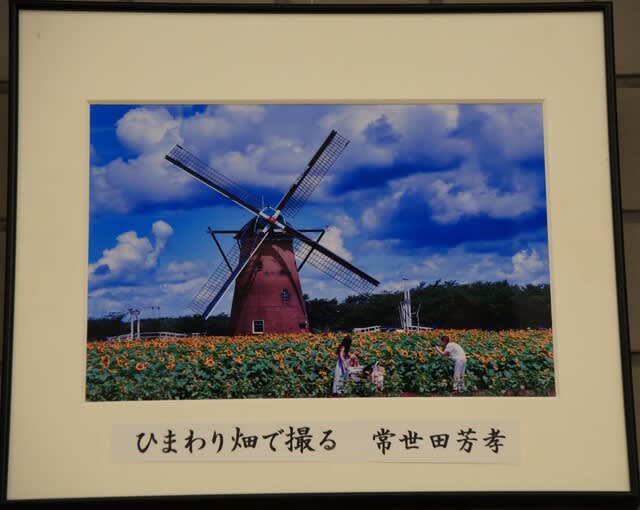 ちはら台フォトクラブ Cpc