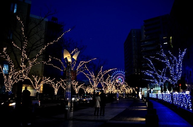 クリスマス イルミネーション 神戸 12 12 なごみの花屋さん