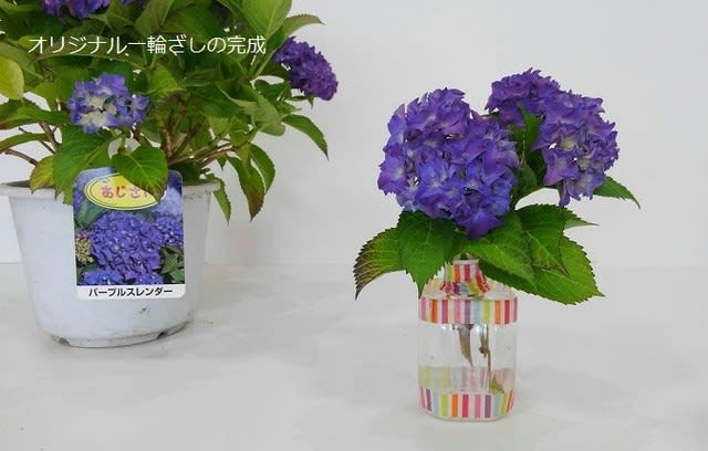 チョコっとペットボトル 花を飾る ８７純花のブログ