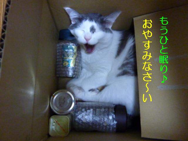 イメージ 6