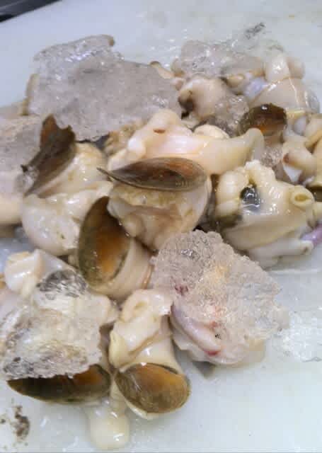 ビンチョウマグロ ホッキ ツブ 北川食堂hp ギョ ぎょ 魚ログ ビンチョウマグロ ホッキ ツブ 北川食堂hp ギョ ぎょ 魚ログ