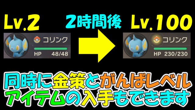 ポケモンレジェンズ レベル２のポケモンを２時間でレベル１００にする効率の良いレベル上げと同時に金策とがんばレベルアイテムの入手もできます ポケモンレジェンズアルセウス ゲーム アプリ攻略 ブログ小説