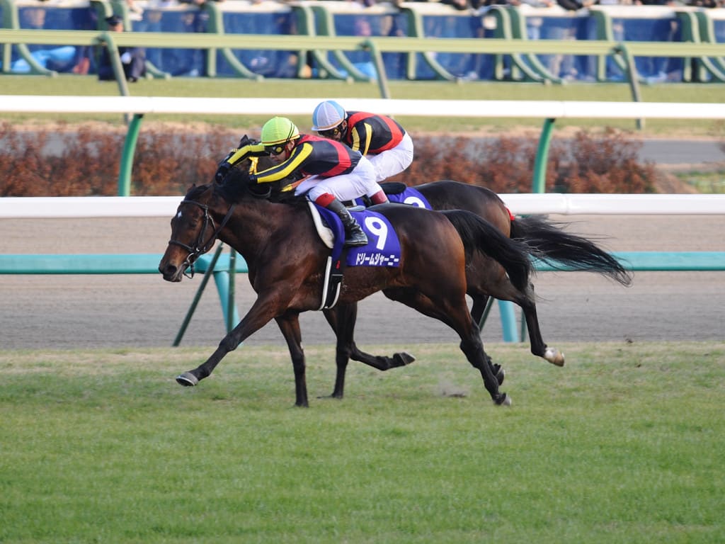 有馬記念(GI) - ask_uma 有馬記念(GI) - ask_uma