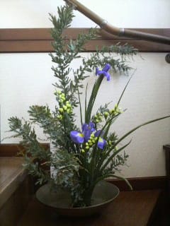 昨日のお花