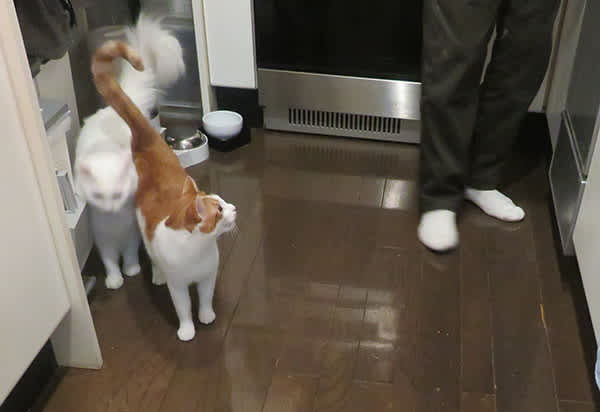 待ちきれないよ早く早く 川天使空間 待ちきれないよ早く早く 川天使空間