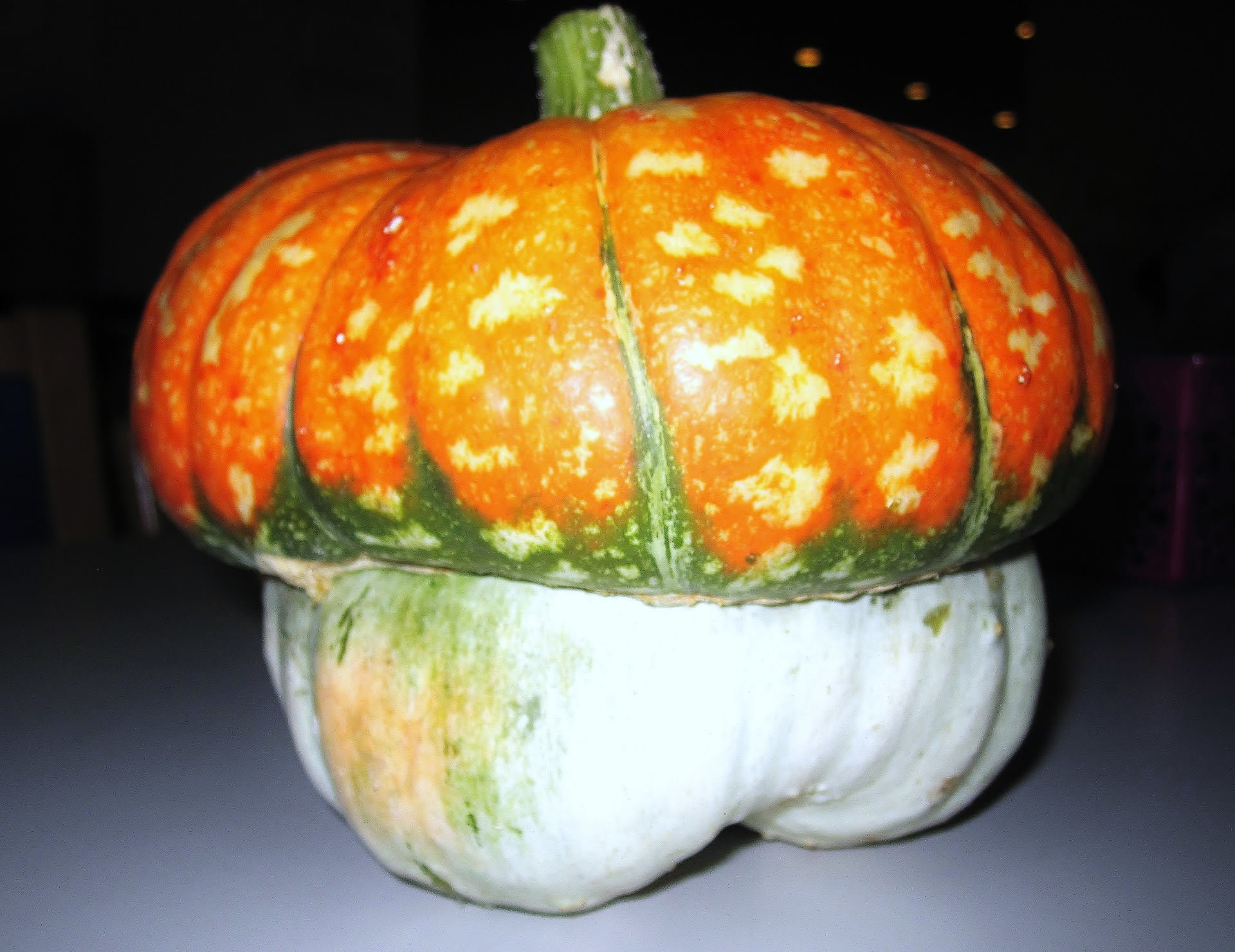 ベレー帽かぼちゃの画像