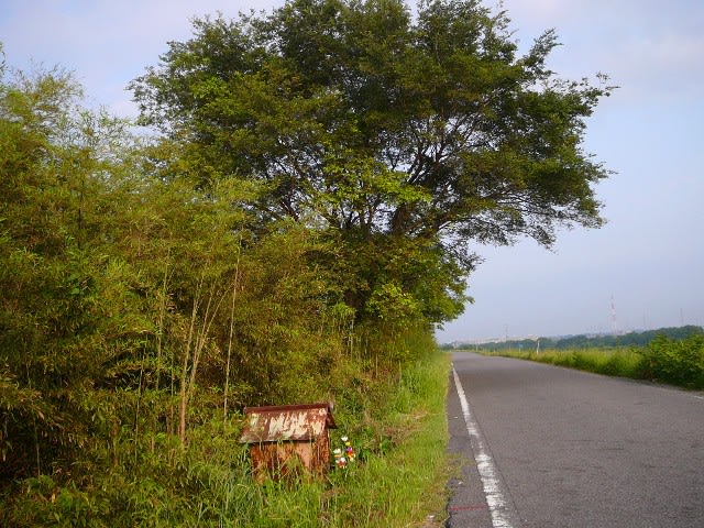 夏草とお地蔵さんの画像