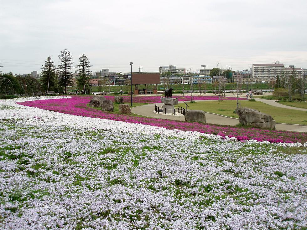 公園どこまで春がきたか？の画像