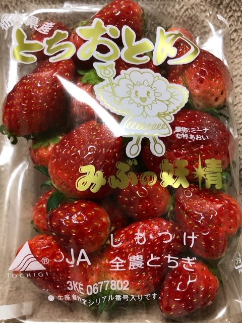 栃木県産JAしもつけ・全農とちぎのとちおとめ苺 - BLUE HEAVEN 栃木県産JAしもつけ・全農とちぎのとちおとめ苺 - BLUE HEAVEN