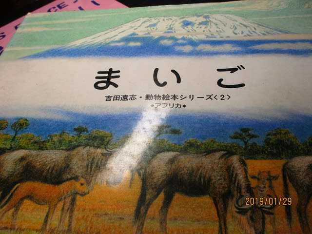 新 本と映像の森 ２３３ 吉田遠志 まいご 福武書店 １９８３年 雨宮智彦のブログ ２ 宇宙 人間 古代 日記