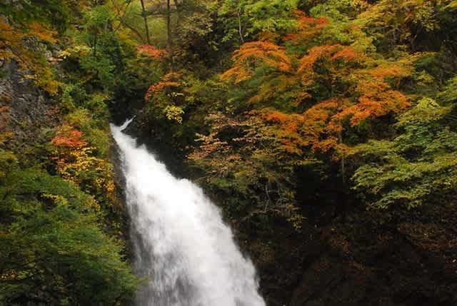 ２ 世立八滝 大仙の滝 段々の滝 箱の滝 たかたかのトレッキング