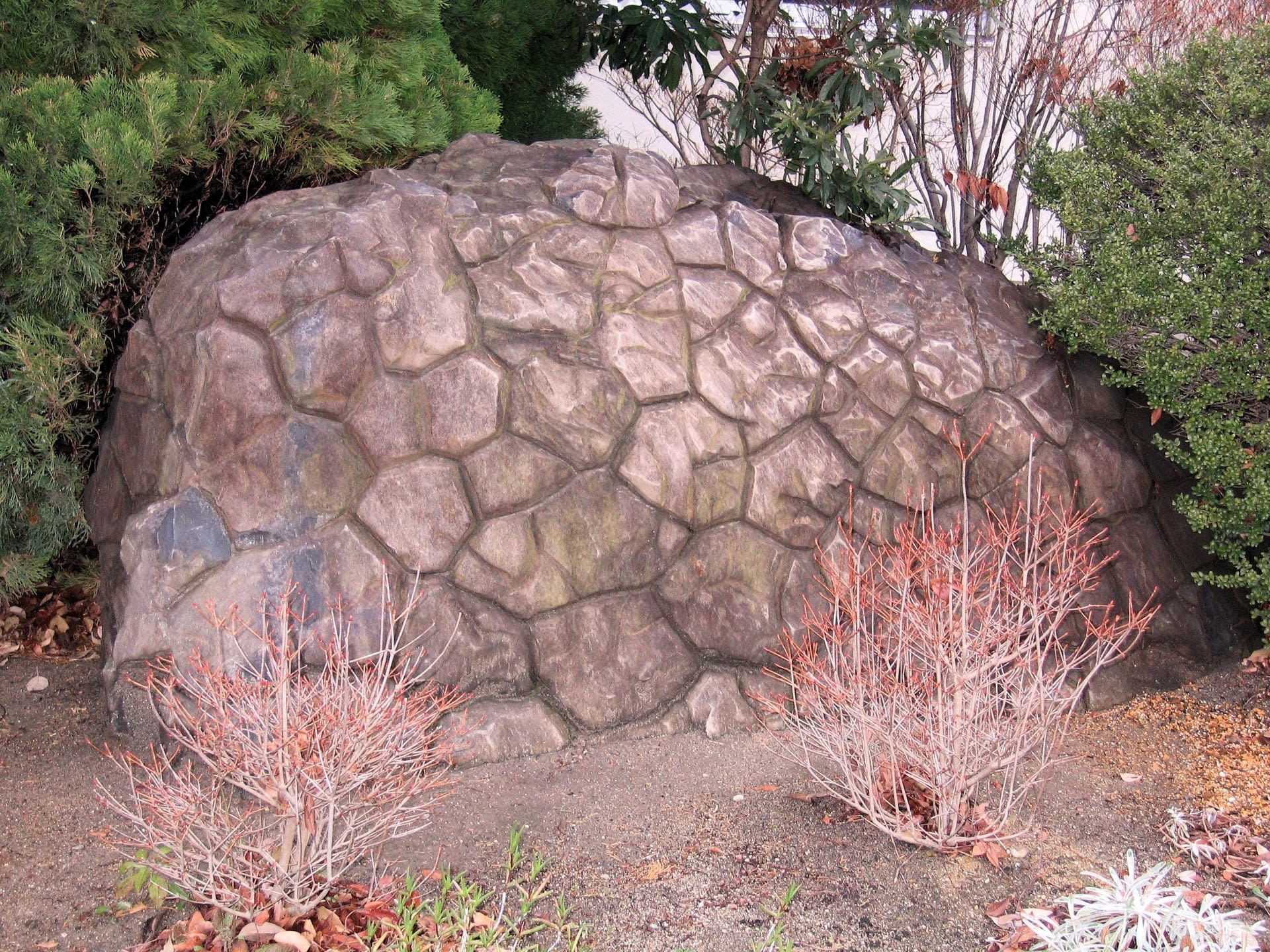 散歩!の画像