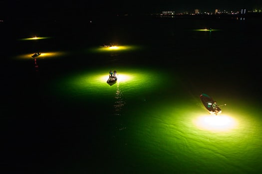 吉野川河口で幻光の祭典 シラスウナギ漁 に見入る Poppo News 2
