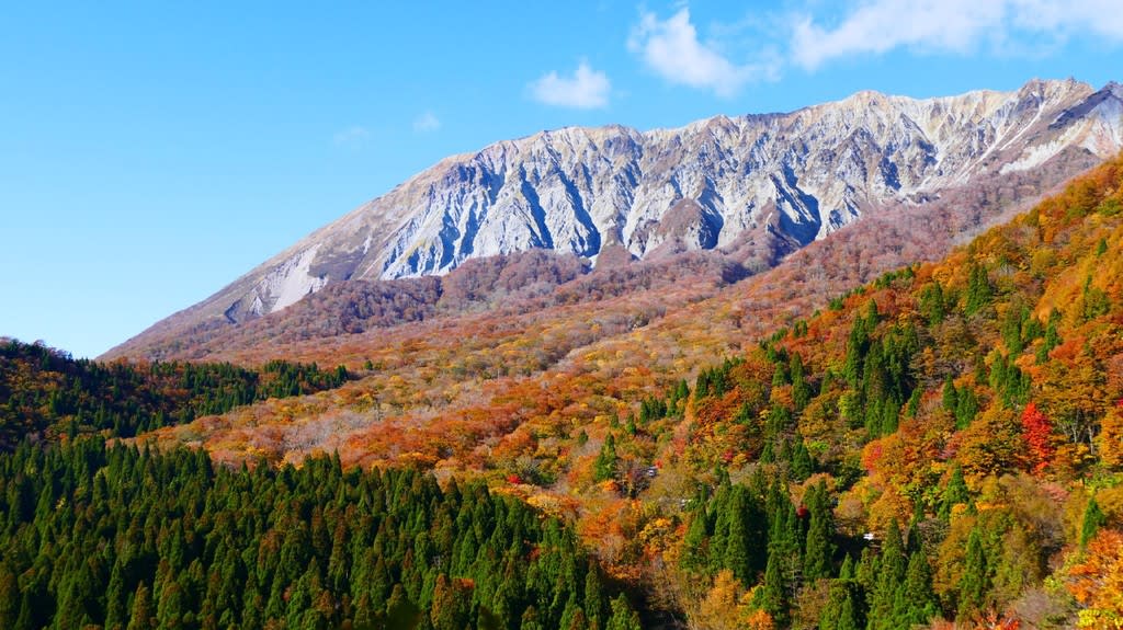 大山の紅葉 鍵掛峠編 11月5日撮影分 ほった老人の部屋２