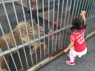 わくわく動物園 プラント6瑞穂店 Manaの韓国いやぎ わくわく動物園 プラント6瑞穂店 Manaの韓国いやぎ