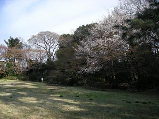 桜丘すみれば自然庭園