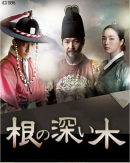 根の深い木 の感想 その2 森の中の一本の木