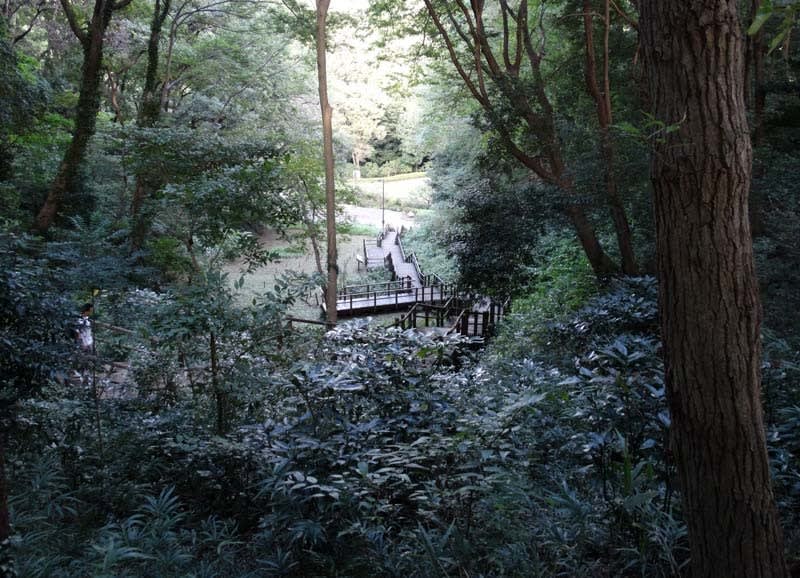 県立 東 高根 森林 公園 神奈川