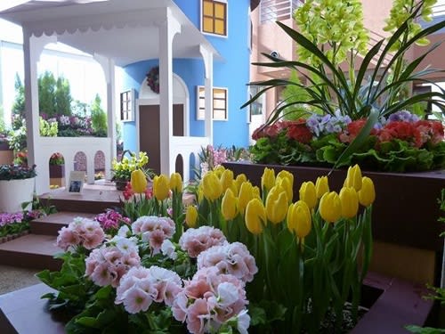 北欧の冬の花たち 大好き 本 花 旅