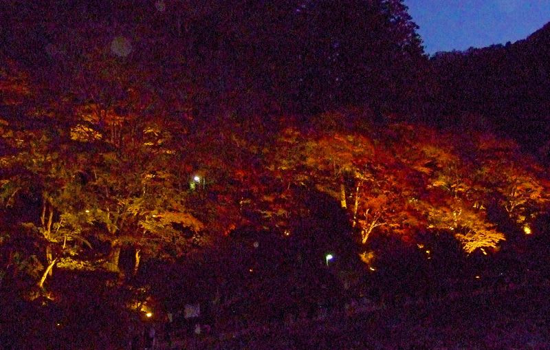 【香嵐渓のライトアップ・・・】の画像