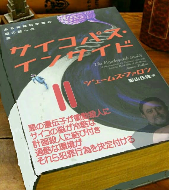 サイコパス インサイド に見るサイコの脳と遺伝と環境と その２ 19 7 31更新 殺戮の遺伝子と負の環境と犯罪行為と 象が転んだ
