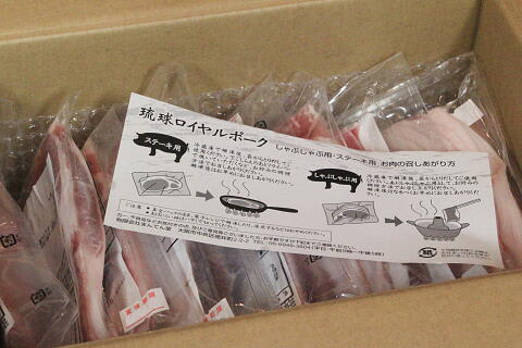 130127a10 130127a10
