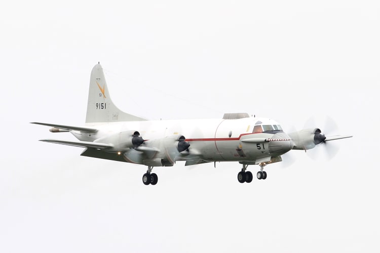海上自衛隊 UP-3C (9151/第51航空隊) - 写・撃・演・習・場♪ 海上自衛隊 UP-3C (9151/第51航空隊) - 写・撃・演・習・場♪