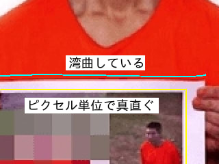 湯川遥菜さん殺害画像もコラージュだった ジャガイモの工具箱
