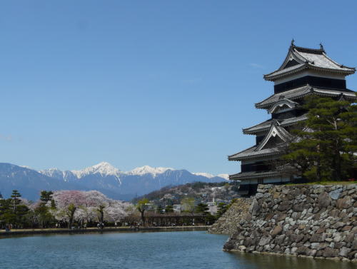 松本城　2010/4/14