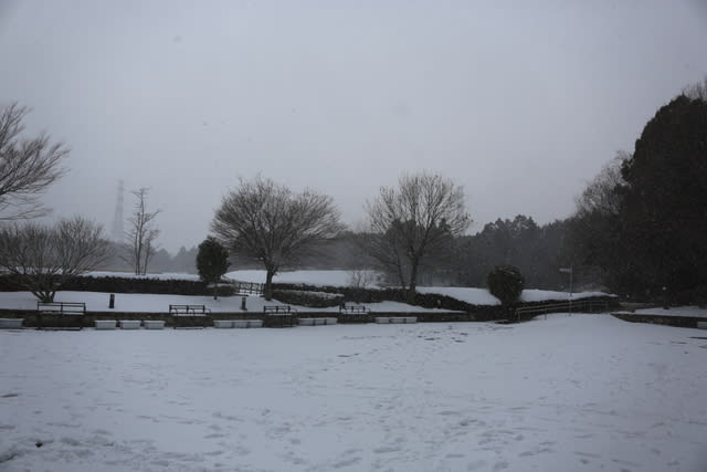 DPP_0107.JPG