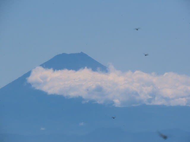 高ボッチ高原・鉢伏山から見た富士山