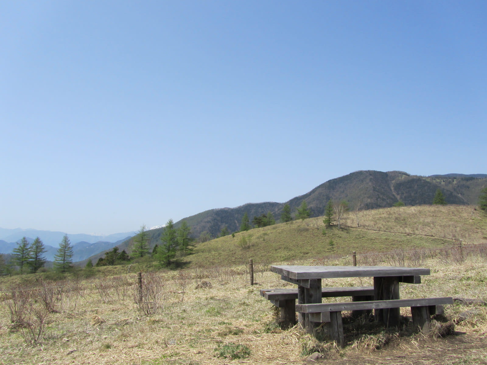 甘利山から千頭星山へ登る でんろく庵 便り