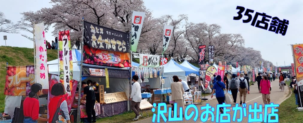 「花より飲み食い」🌸2024年京都八幡背割堤まつり延長で大賑わい🍺 - いげのやま美化クラブ