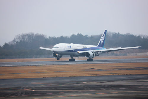 ｍ-19.02-01.JPG