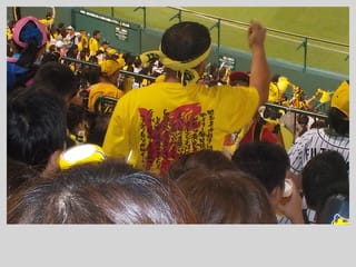 5/28(日)阪神vs巨人　甲子園　ライトスタンド２席　雨保障