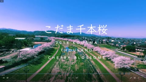 こだま千本桜18空撮動画 パソコン楽習館スタッフブログ