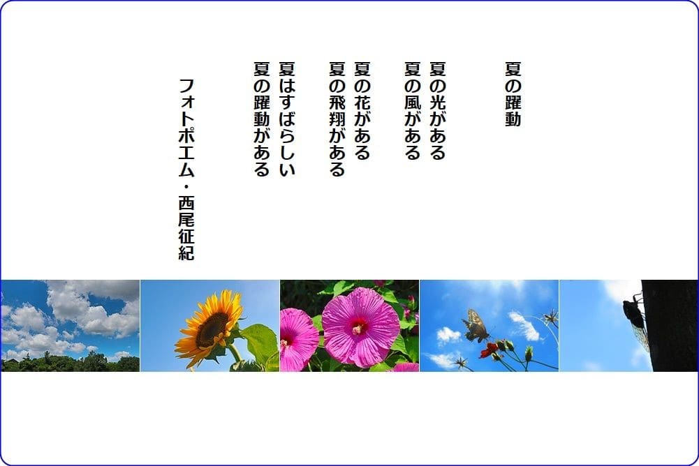 夏の躍動 夏の詩 西尾征紀 Nishio Masanori