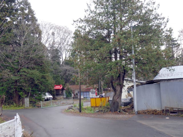 P1110366a