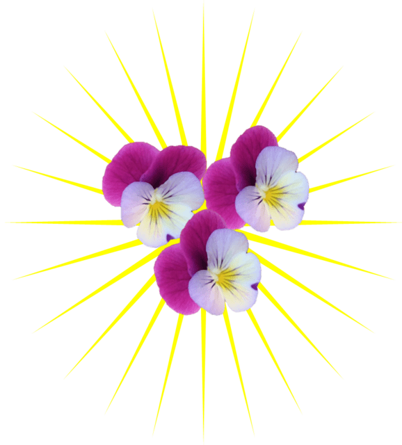 めぐりの花と旅 めぐりの花と旅