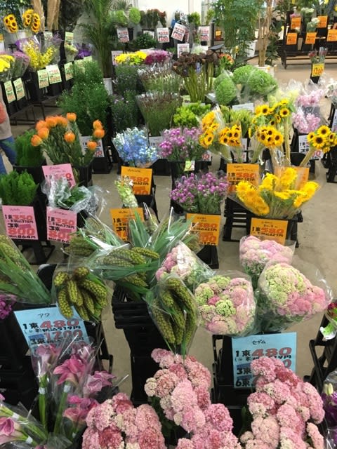 9月6日 切り花入荷 ビックフラワー環八荻窪店のお花屋さんブログ